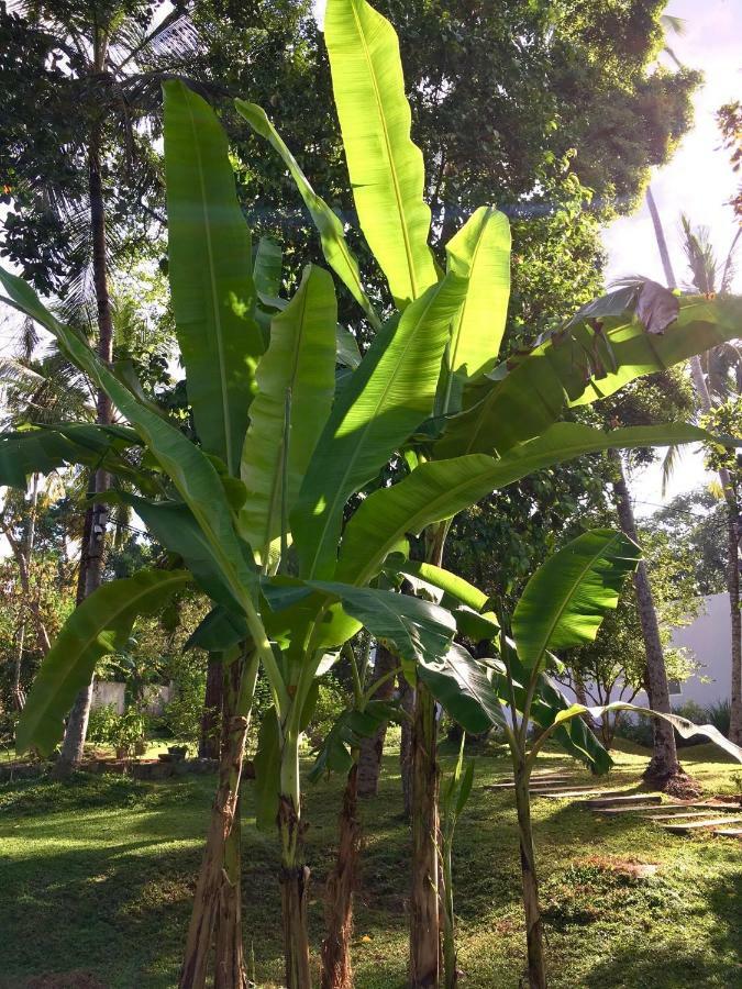 Uyana Boutique Hotel And Retreat Adults Only Ahangama Exteriör bild